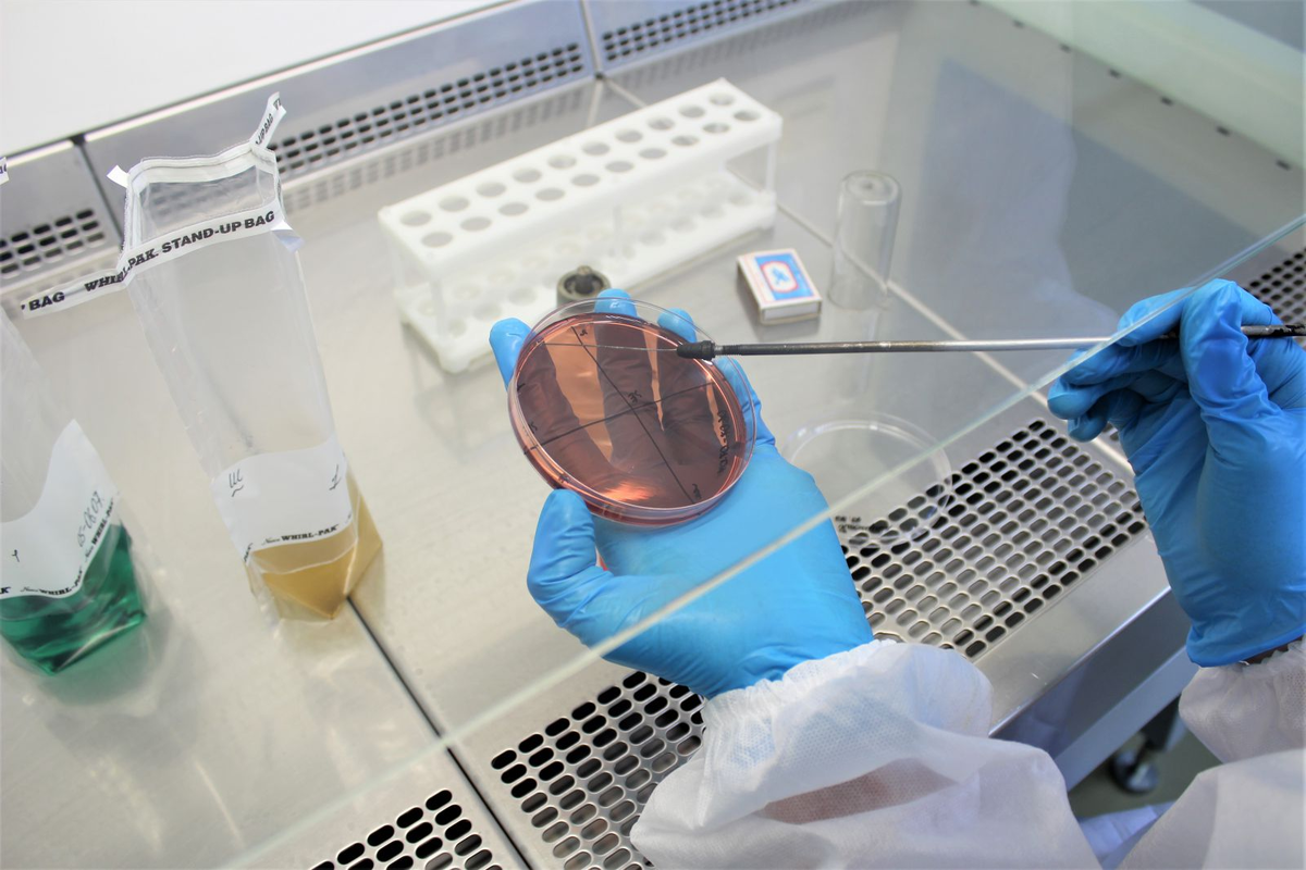 лАБОРАТОРИЯ